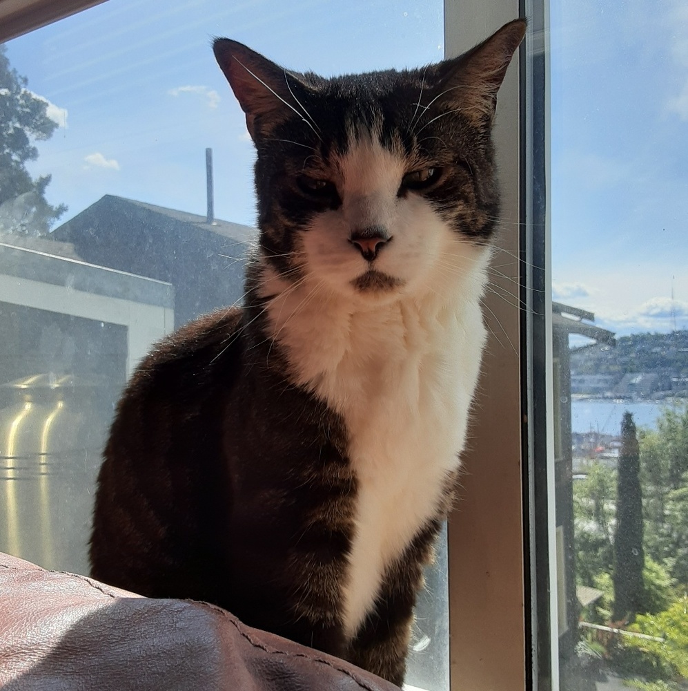 Meet your Posher, Nette